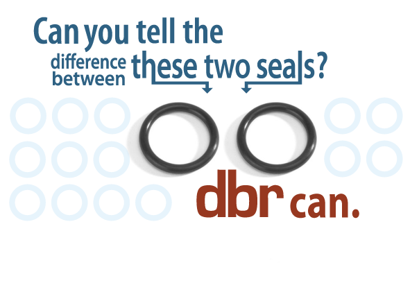 Can you tell the difference between these two seals? DBR can.